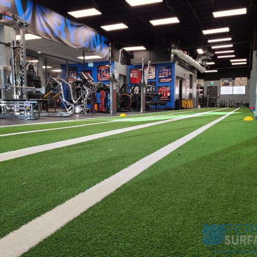 Artificial Fit Turf