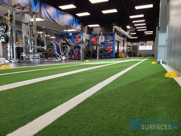 Artificial Fit Turf