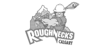 calgary-roughnecks.png