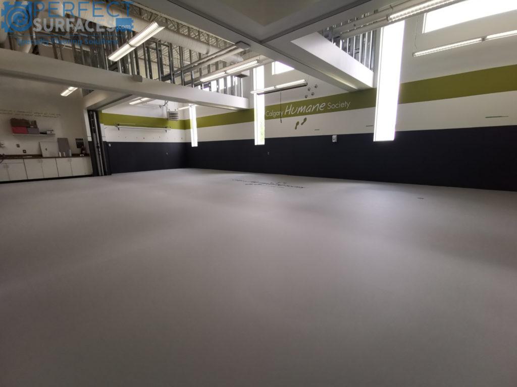 MustHave Flooring Surfaces for Your Animal Sanctuary Perfect Surfaces